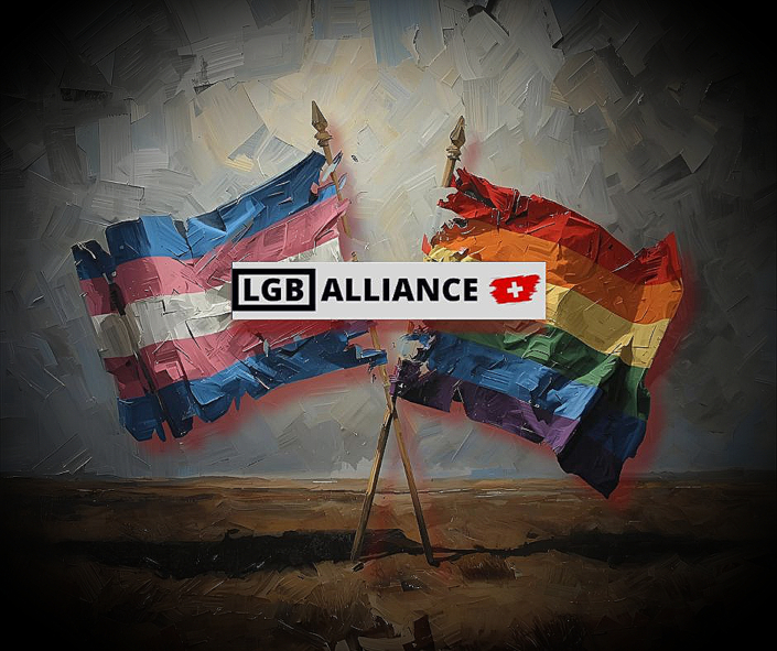 impertinent-canva-DR